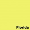 Krāsains papīrs A4 Image 80g/500lp   citrondzeltens Florida  