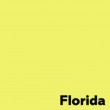 Krāsains papīrs A4 Image 80g/500lp   citrondzeltens Florida  